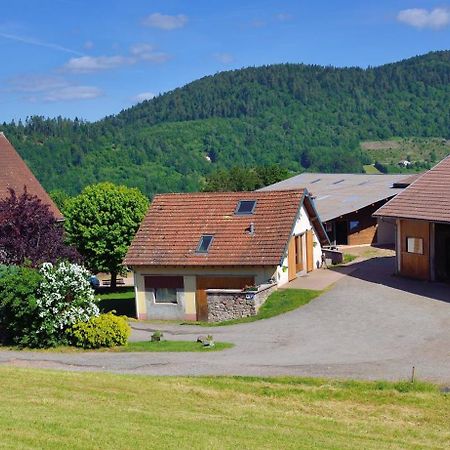 Hebergement Francois Mathieu Saint-Maurice-sur-Moselle Exterior foto