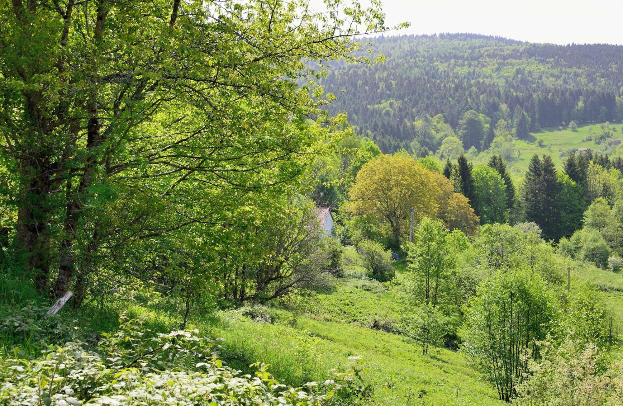 Hebergement Francois Mathieu Saint-Maurice-sur-Moselle Exterior foto