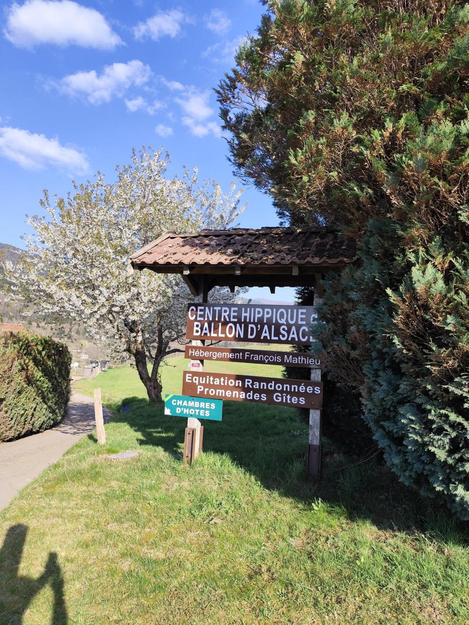 Hebergement Francois Mathieu Saint-Maurice-sur-Moselle Exterior foto